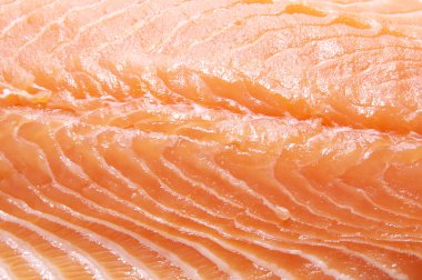 Somon eti macrophotography