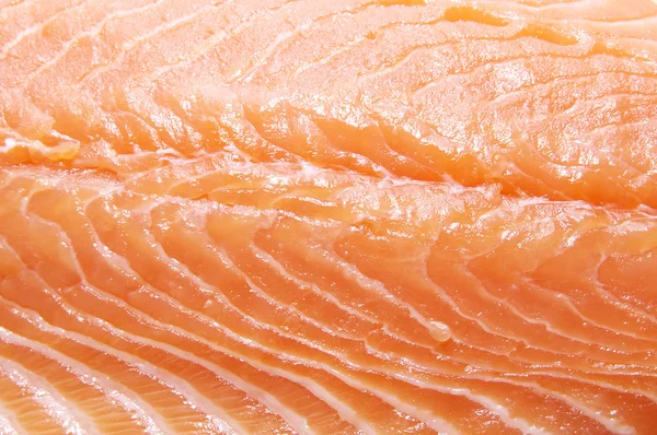 Salmon meat macrophotography — Stock Photo, Image