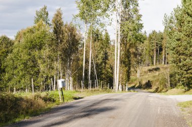 orman yolu