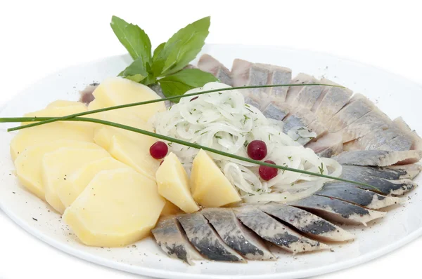 Herring and potatoes — Stock Photo, Image