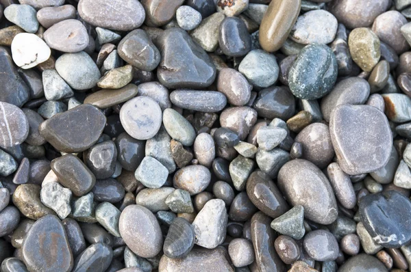 Wet sea pebbles close up shot — Stock Photo, Image