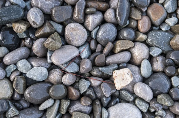 Wet sea pebbles close up shot — Stock Photo, Image