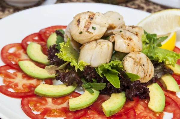 Salad of scallops — Stock Photo, Image