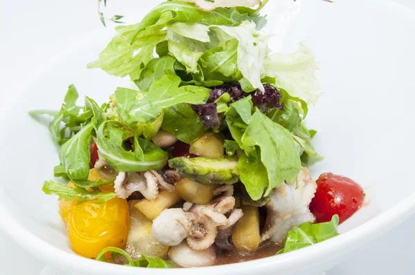 Octopus salade — Stockfoto