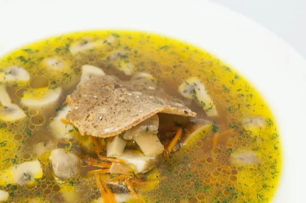 Sup dengan jamur dan kacang — Stok Foto