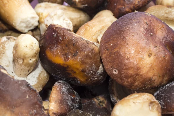냉동된 버섯 — 스톡 사진