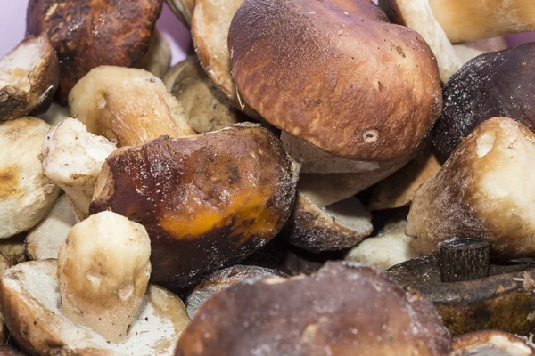 냉동된 버섯 — 스톡 사진