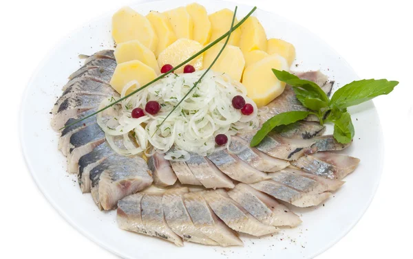 Herring and potatoes — Stock Photo, Image