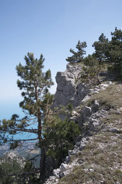 Klippor nära havet — Stockfoto