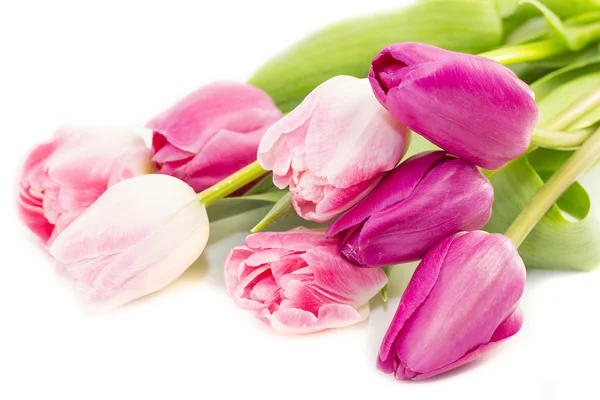 Pink tulips bouquet — Stock Photo, Image
