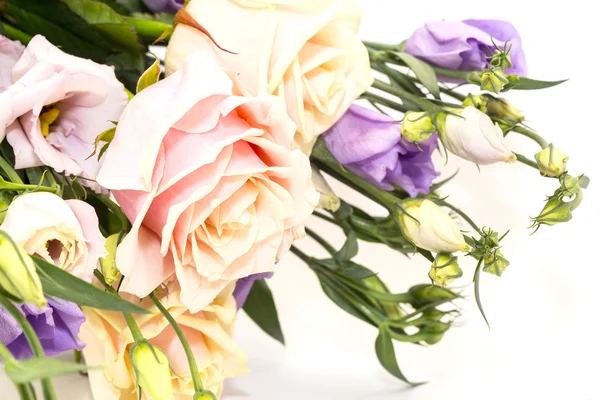 Hermosas flores en primer plano —  Fotos de Stock