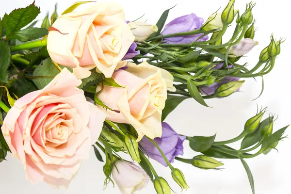 Hermosas flores en primer plano —  Fotos de Stock