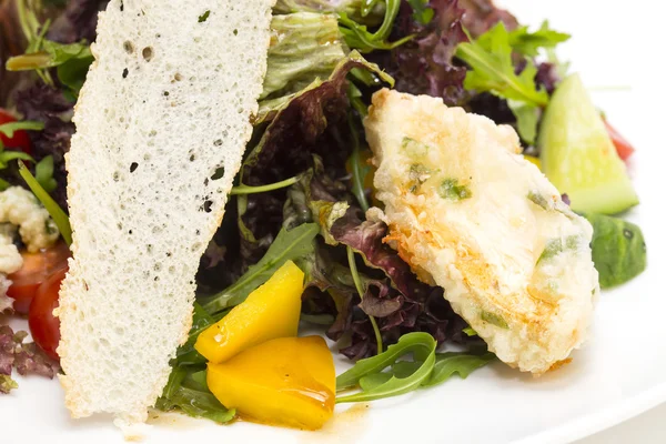 고기 치즈와 야채 샐러드 — 스톡 사진