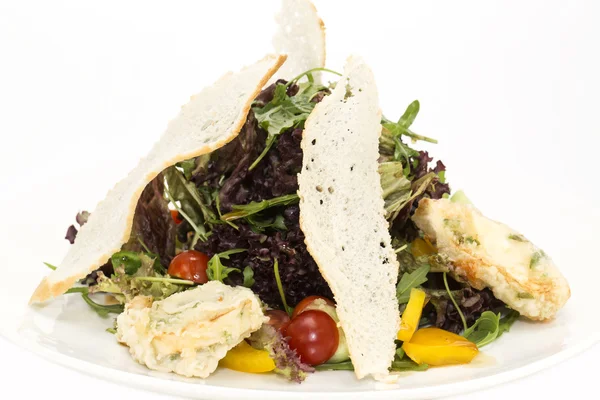 Salade de fromages et légumes de viande — Photo