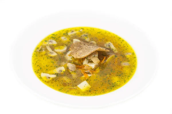 Suppe mit Pilzen und Bohnen — Stockfoto