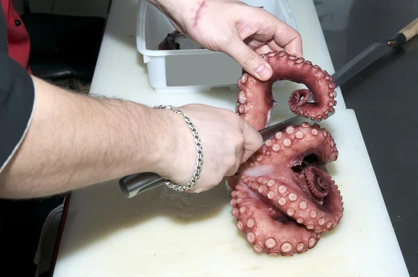 Cutting cook octopus — Stock Photo, Image