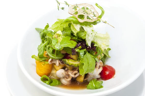 Salada de polvo e verduras — Fotografia de Stock