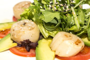 avokado ve domates ızgara tarak