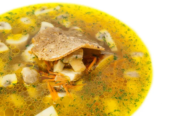 Sopa de legumes e cogumelos em um restaurante — Fotografia de Stock