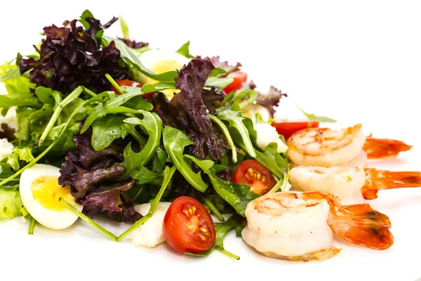 Shrimp salad greens and avocado cheese and tomatoes — Stock Photo, Image