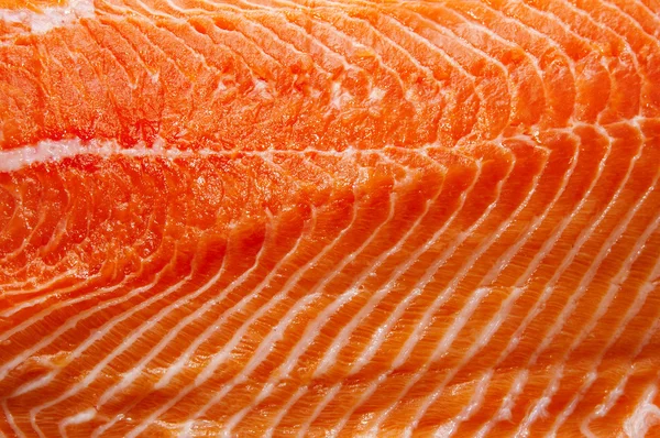 Filé de salmão fresco carne de peixe — Fotografia de Stock