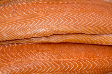 taze somon fileto Balık eti