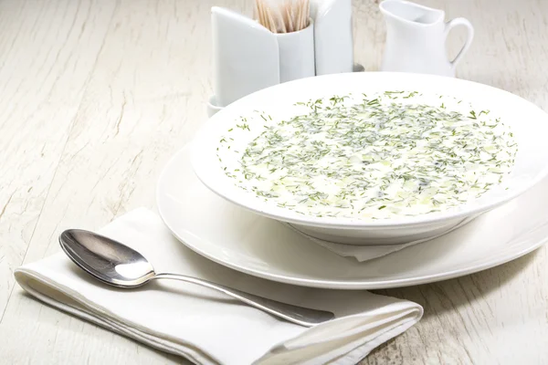 Cold soup of milk and vegetables — Stock Photo, Image