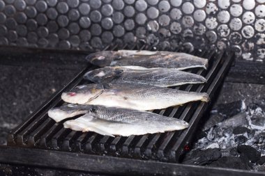 Güvercinler Deniz balığı