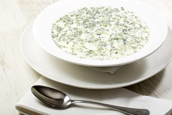 Cold soup of milk and vegetables — Stock Photo, Image