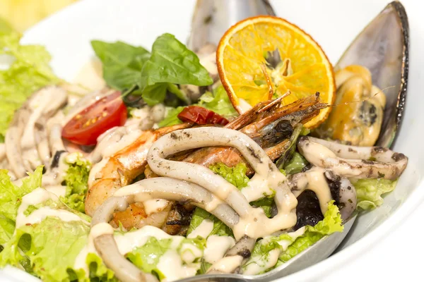 흰색 배경에 접시에 해산물 샐러드 — 스톡 사진
