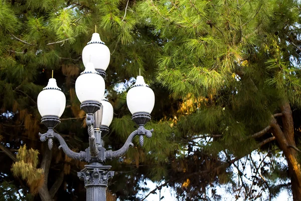 Luz da rua — Fotografia de Stock