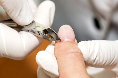 Manikür iş süreçleri