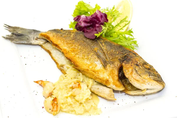 Fried fish dorado — Stock Photo, Image