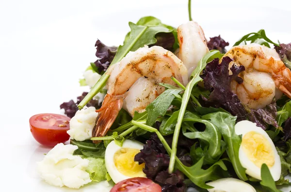 Salad greens and shrimp — Stock Photo, Image
