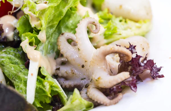 Salad dengan sayuran dan makanan laut — Stok Foto