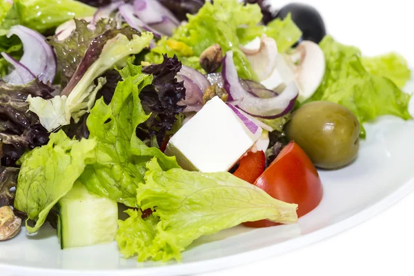 Ensalada — Foto de Stock