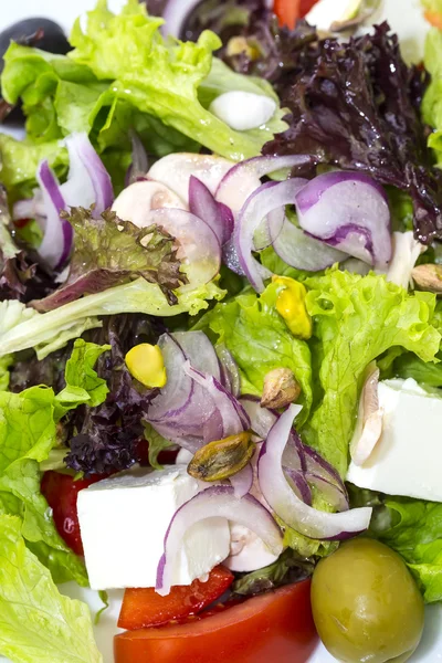 Salad — Stock Photo, Image