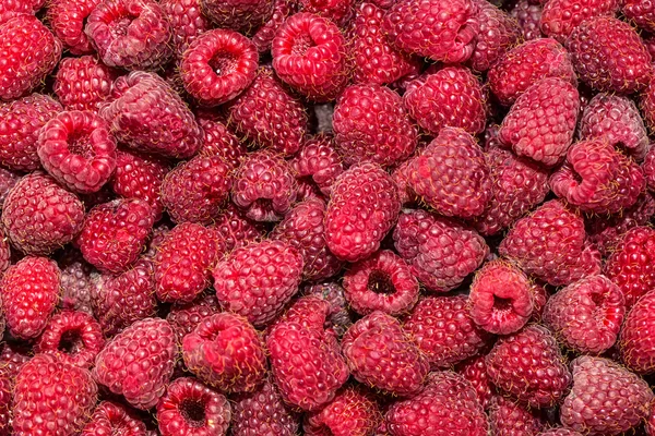 Framboise vie de fond de nombreux fruits naturels santé — Photo