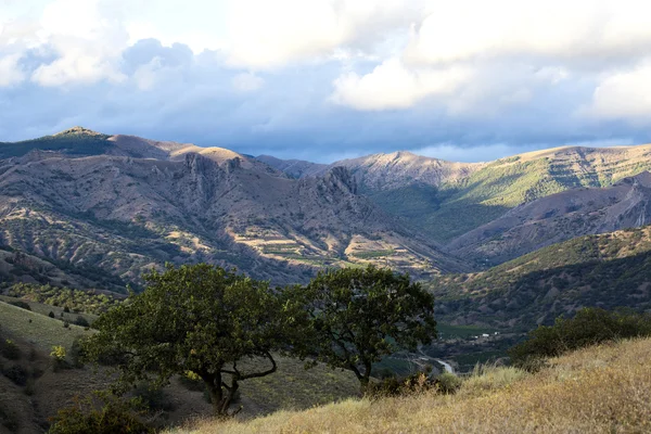 Montagna estiva — Foto Stock