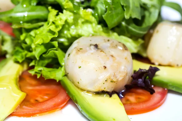 Jakobsmuscheln mit Avocado und Tomaten gegrillt — Stockfoto