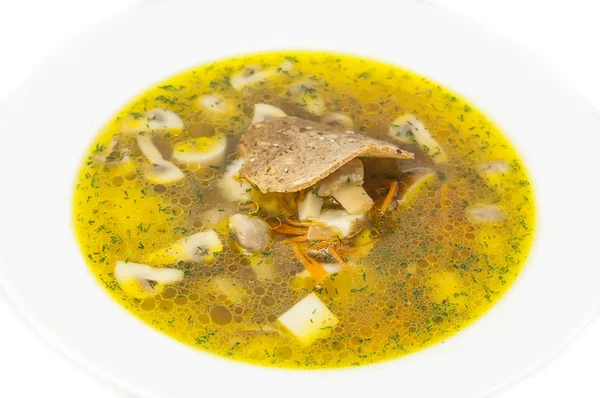 Sopa de codorniz y verduras — Foto de Stock