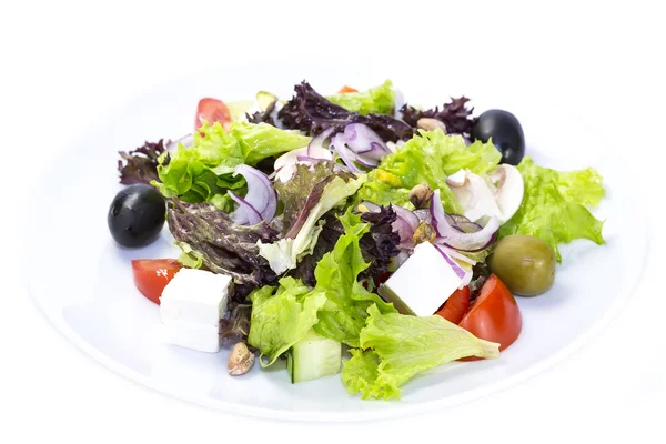 Salat — Stockfoto