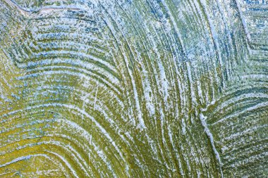 renkli arka plan üzerinde duvar boyalı