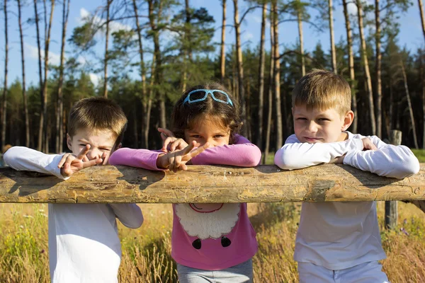 I bambini si divertono sul campo — Foto Stock