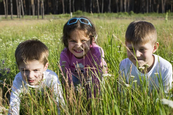 I bambini si divertono sul campo — Foto Stock