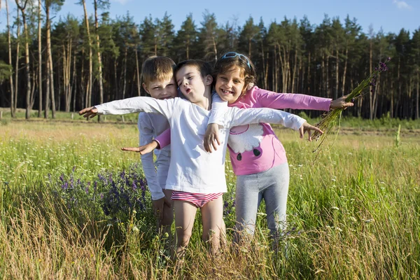 Дети веселятся на поле — стоковое фото