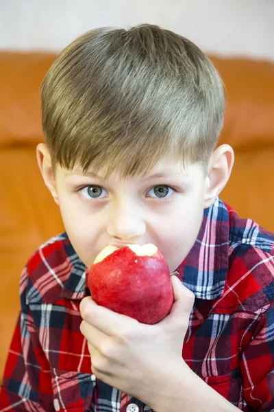 수 분이 많은 빨간 사과 먹는 아이 들 — 스톡 사진