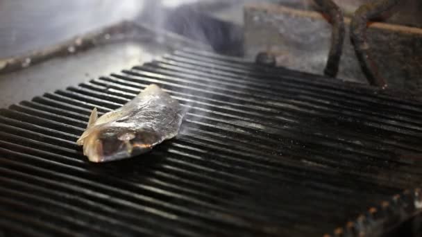 Dorado fish cooking — стоковое видео