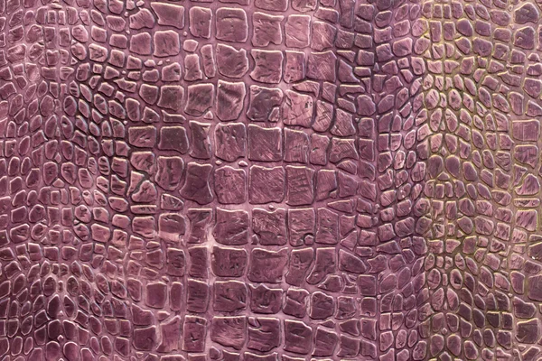 Krokodýlí kůže — Stock fotografie
