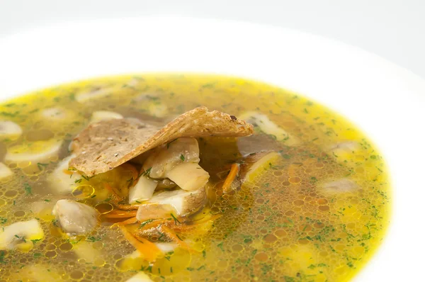 Суп из овощей и грибов — стоковое фото